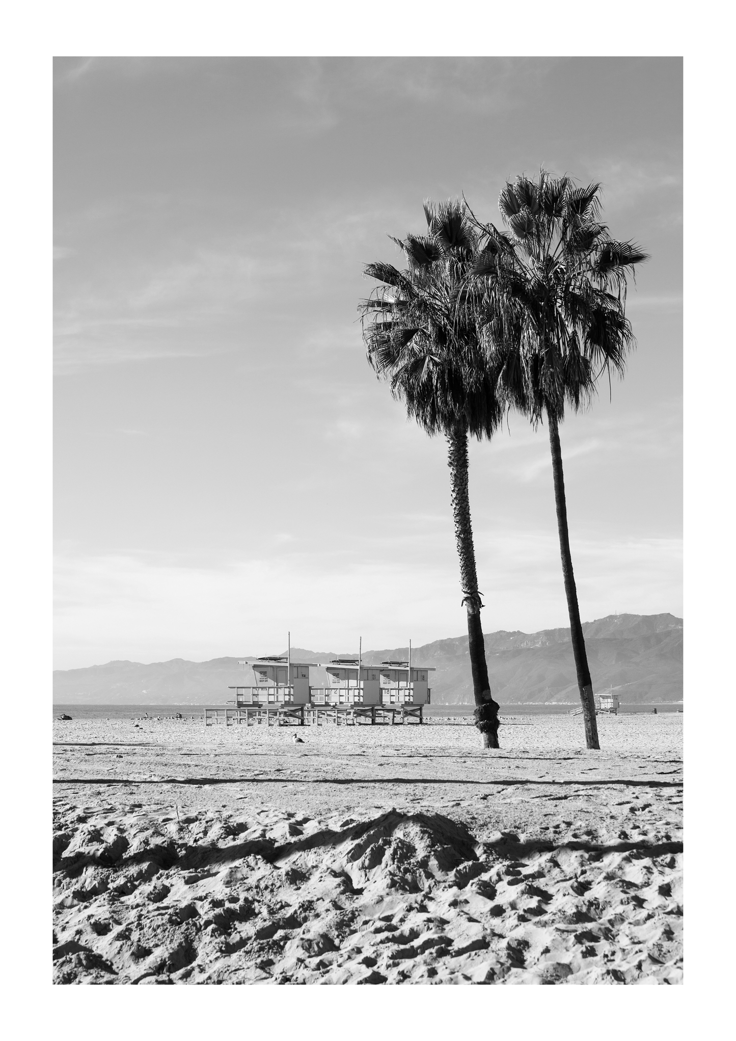 Set of 3 Santa Monica black and white posters