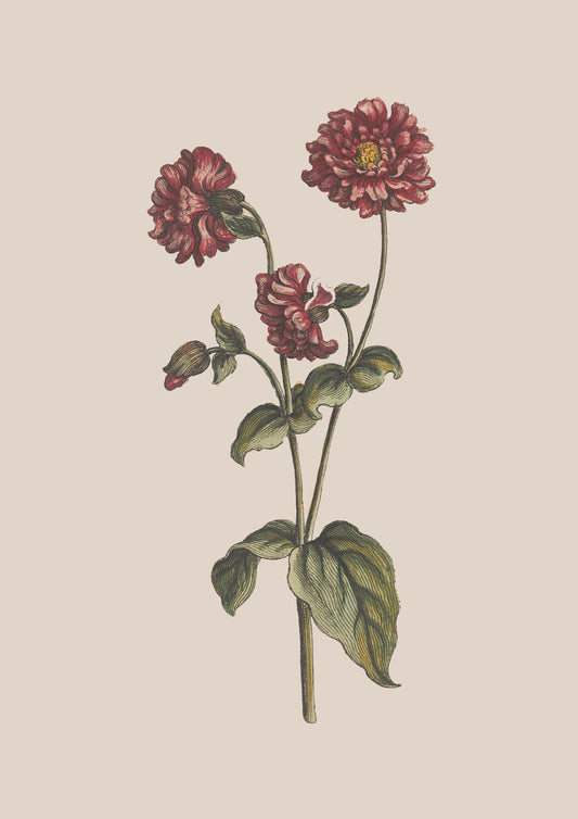 Set of 3 vintage floral prints, Living room art, Neutral prints, Bedroom posters, Bathroom wall art, Flowers artwork, Pink floral posters