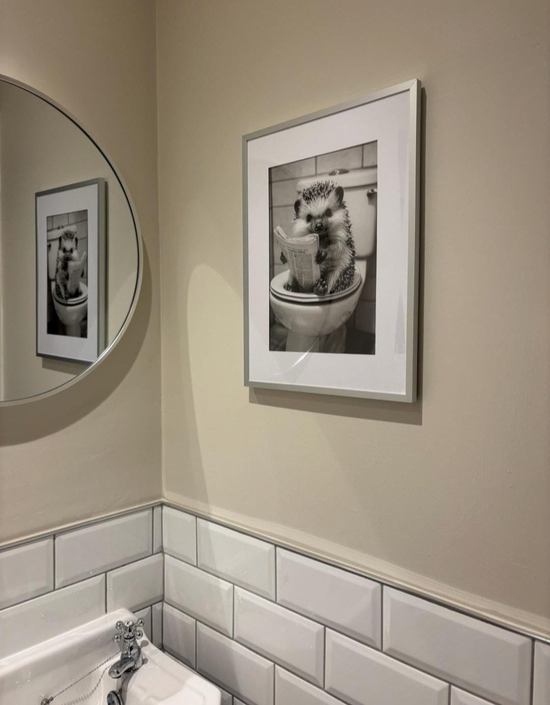 Animals on the toilet posters. Choose from the 60 animals listed.