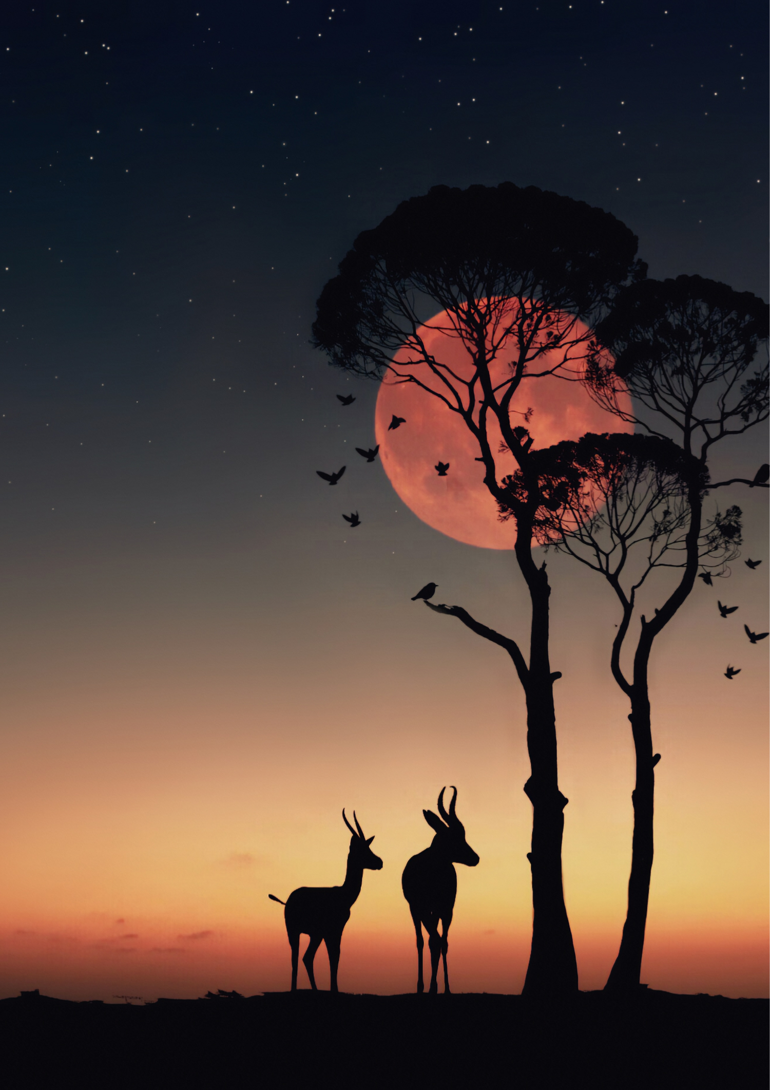 Africa