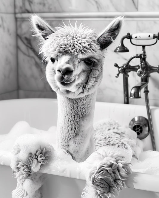 Set of 3 Alpacas in the bathrooms posters