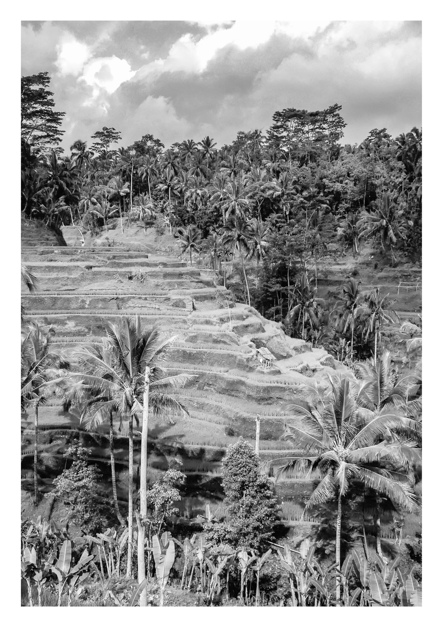 Set of 3 Bali black and white posters
