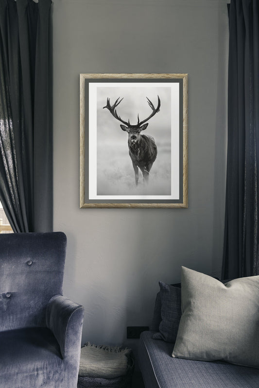 Wildlife print